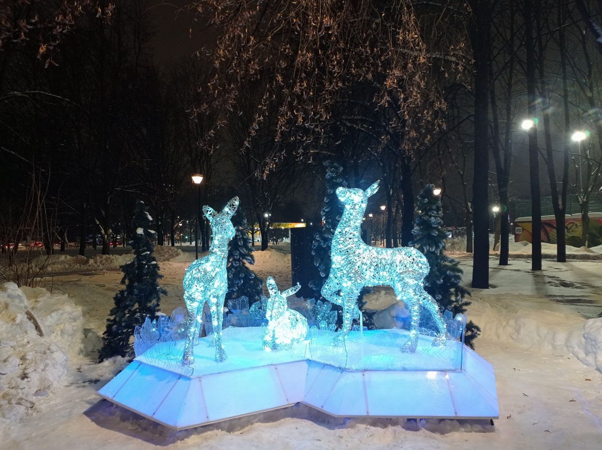 Семейство оленей в нашем парке. 