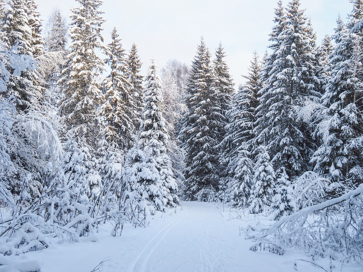 фото Павел Каманин