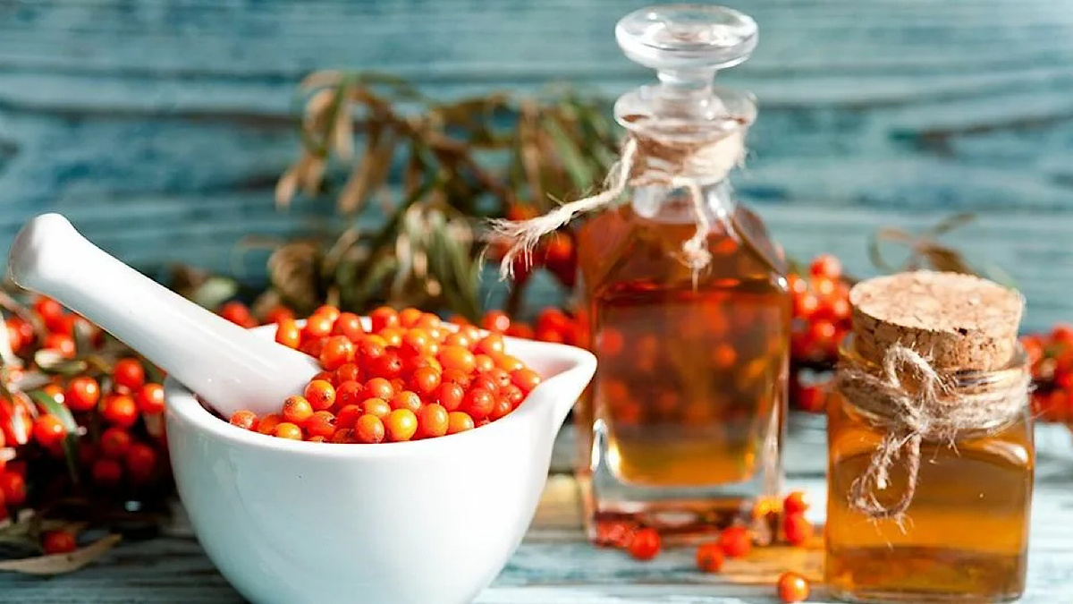 Фото облепиховое масло  olx.kz