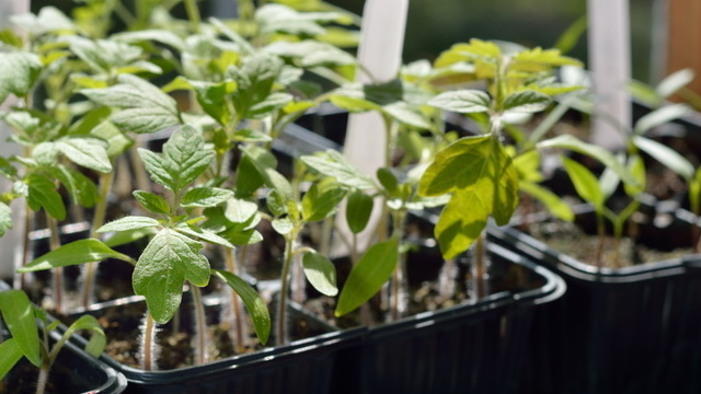 Проверка температуры грунта в полдень - результат шокирует