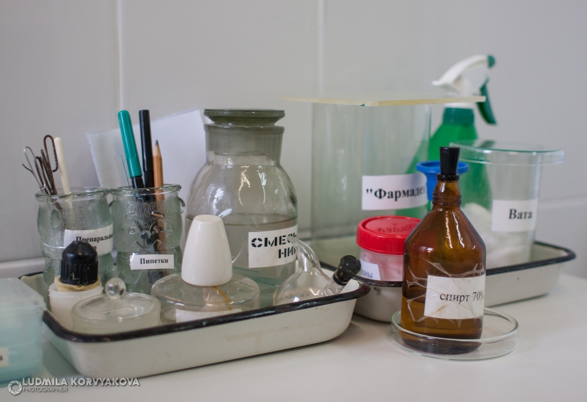    фото: © Людмила Корвякова