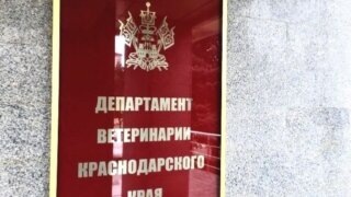    Пресс-служба администрации Краснодарского края Юлия Виноградова