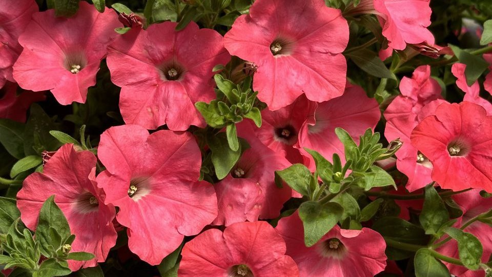 НОВИНКА в серии ИЗИ ВЕЙВ