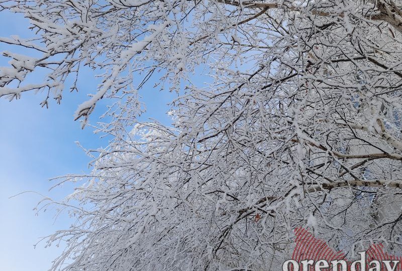 ❗️28 января местами преимущественно в восточных районах Оренбургской области сохранится аномально-холодная погода с отклонением