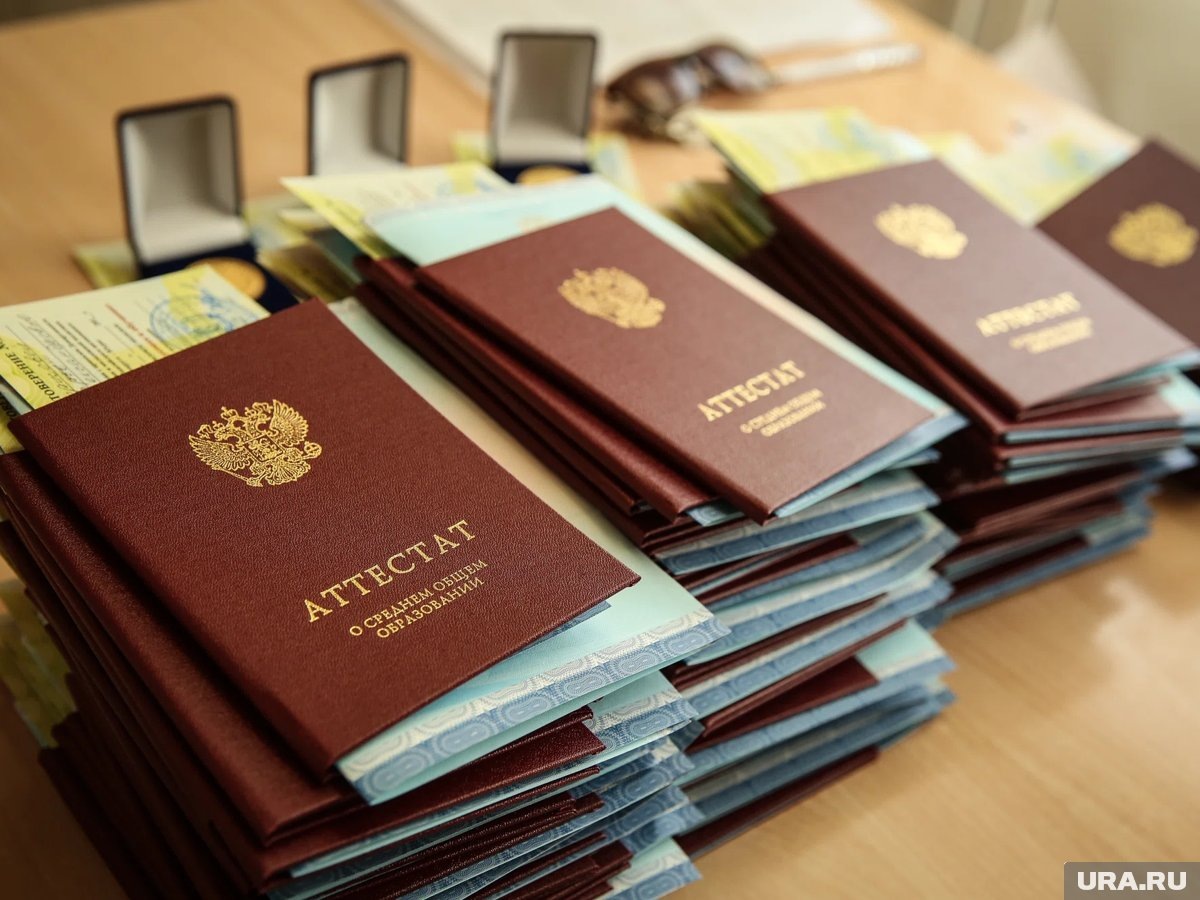     Житель Сургута купил сыну аттестат и стал фигурантом уголовного дела