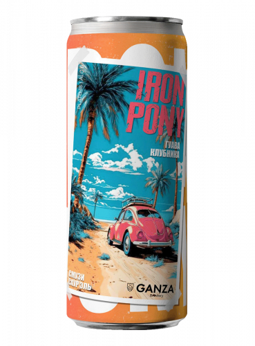 Ганза Айрон Пони