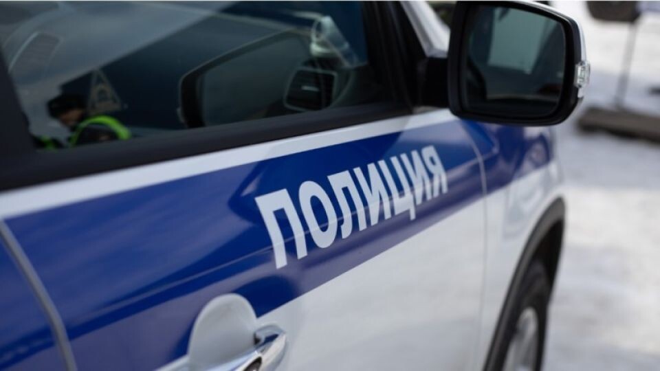    Полиция. Розыск. Источник: Анна Меньшикова