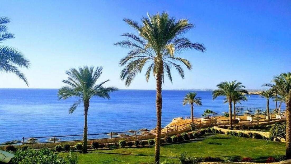 Фото level.travel