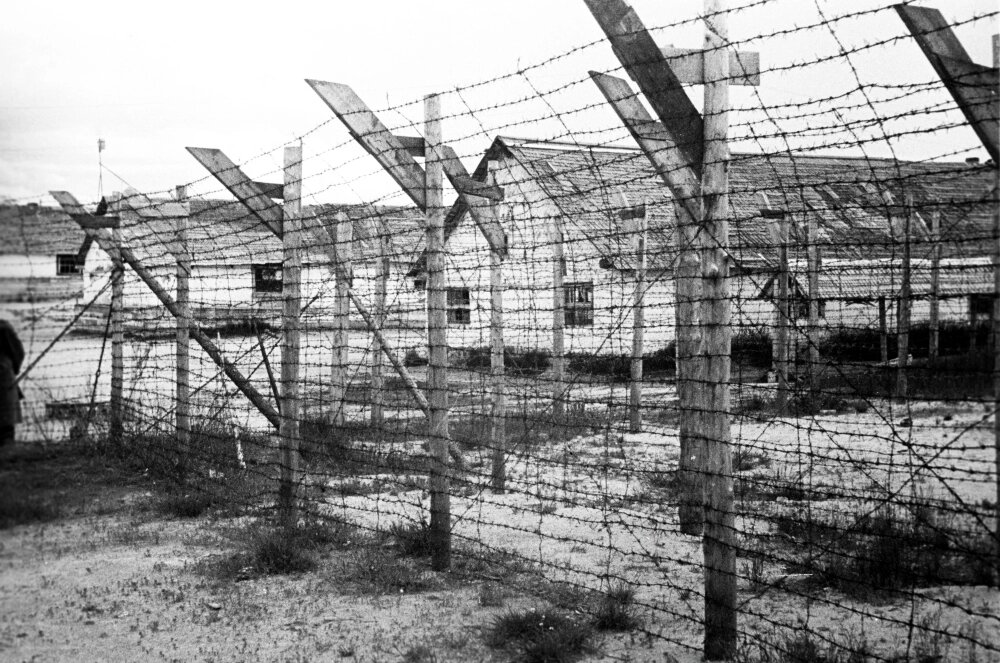    Финский концентрационный лагерь в городе Медвежьегорске. На территории оккупированной Карелии действовали 14 финских концлагерей, 4 трудовых лагеря, 42 лагеря для военнопленных. Фото: РИА Новости/ Дмитрий Козлов