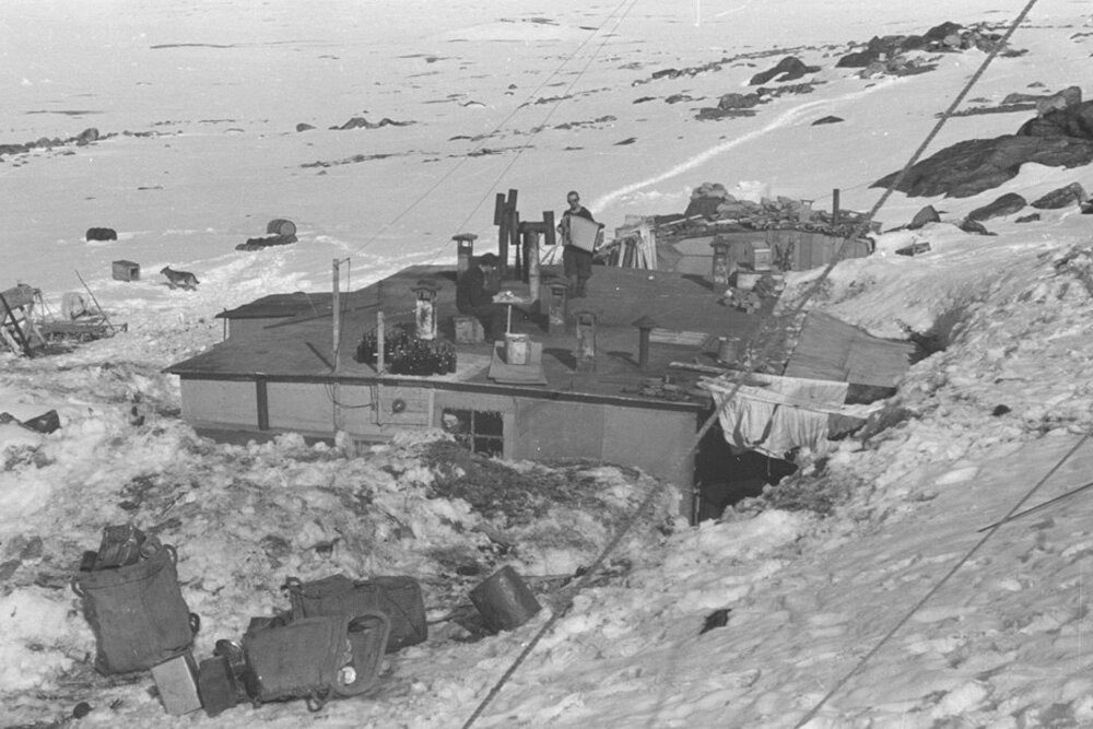 Изображение взято из Интернета.