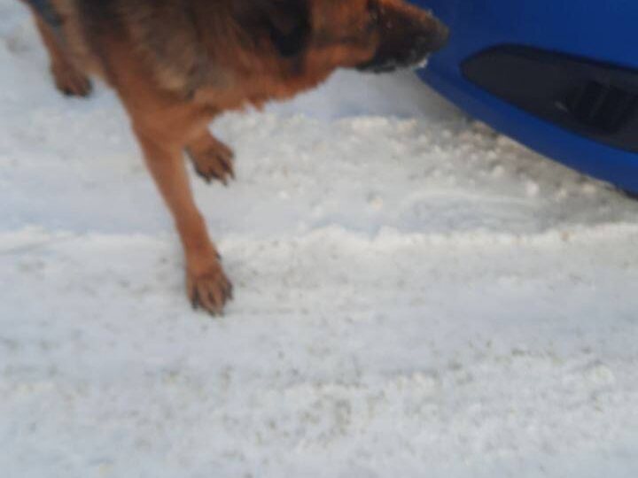 Помогаю информационно