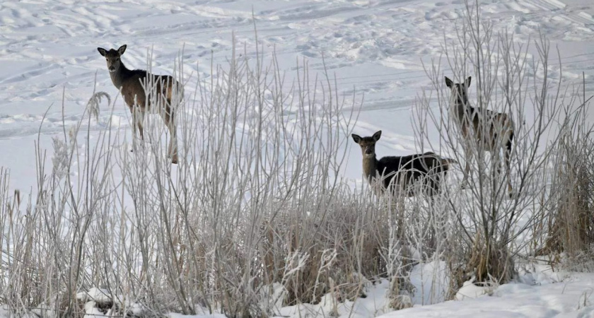    Фото: Павел Васильев