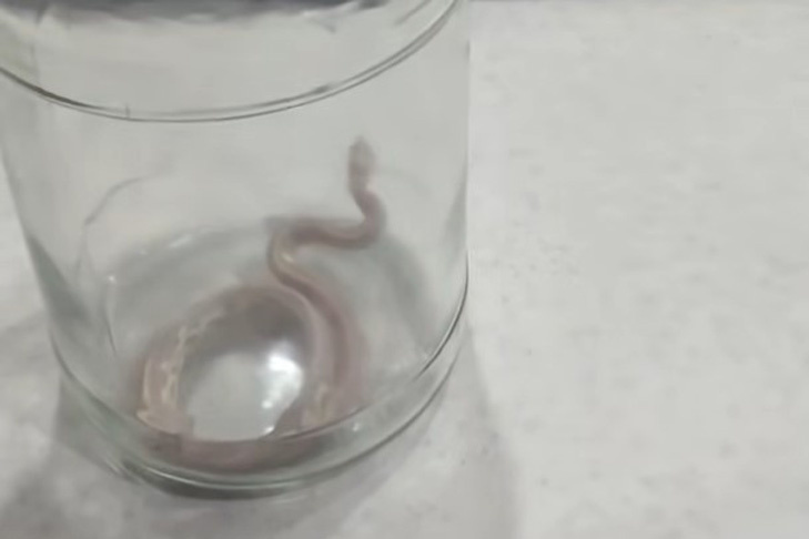    Фото Аварийно-спасательной службы НСО