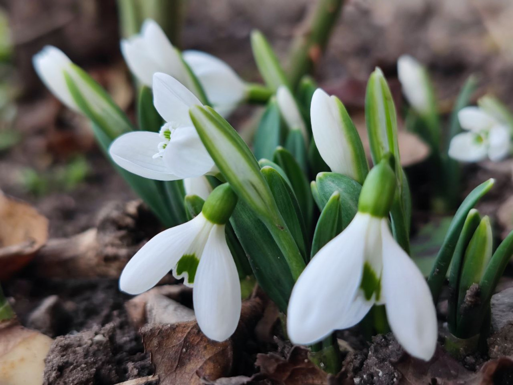 Фото: Михаил ГЛАДЧУК