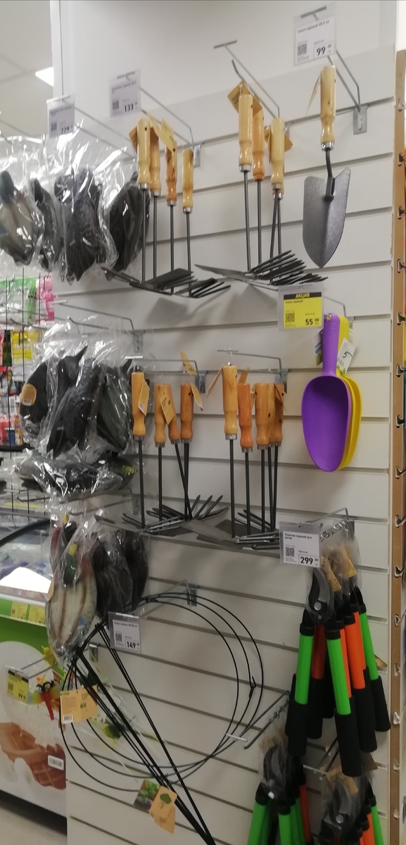 Фото личное