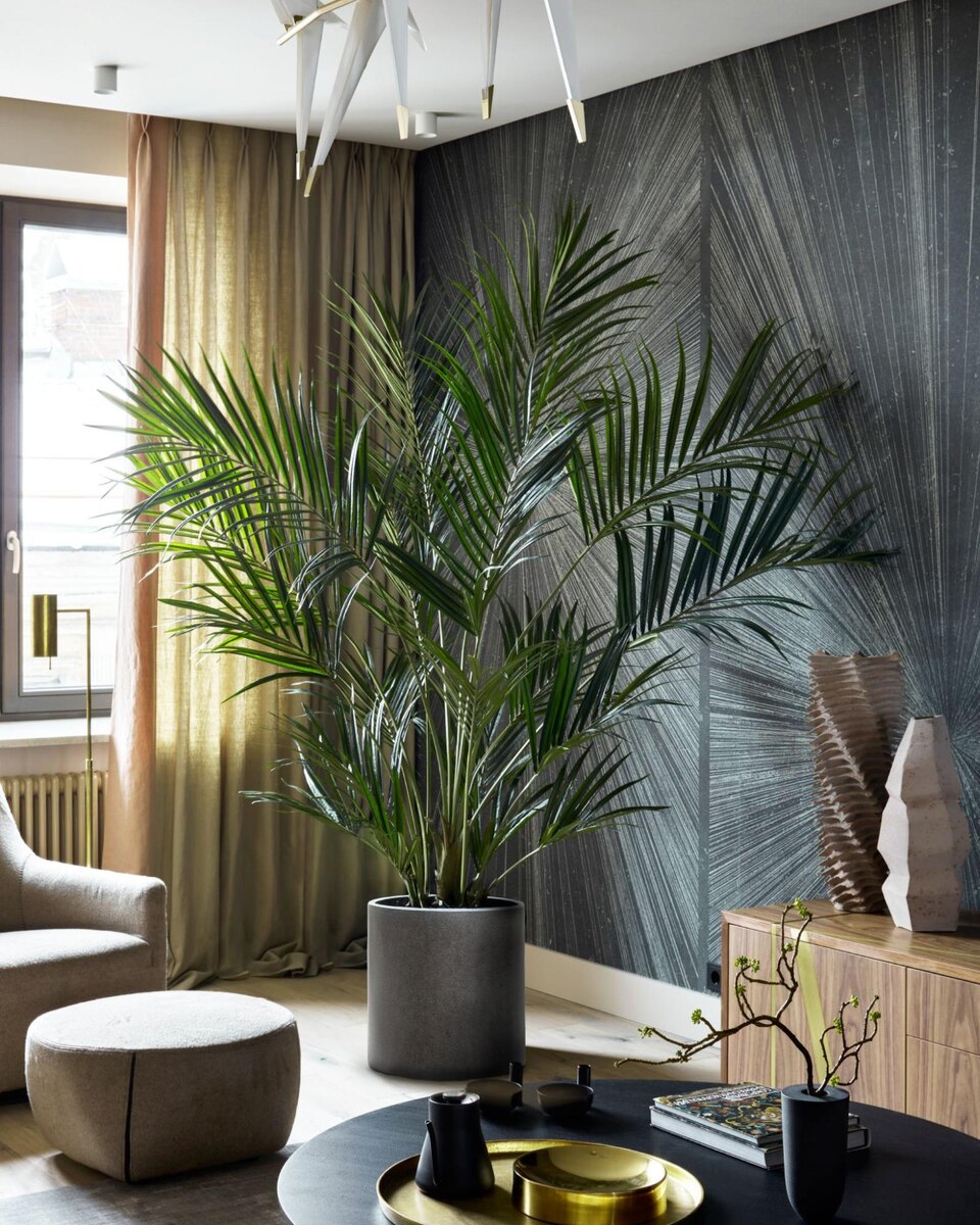 Кашпо и растения TREEZ Collection