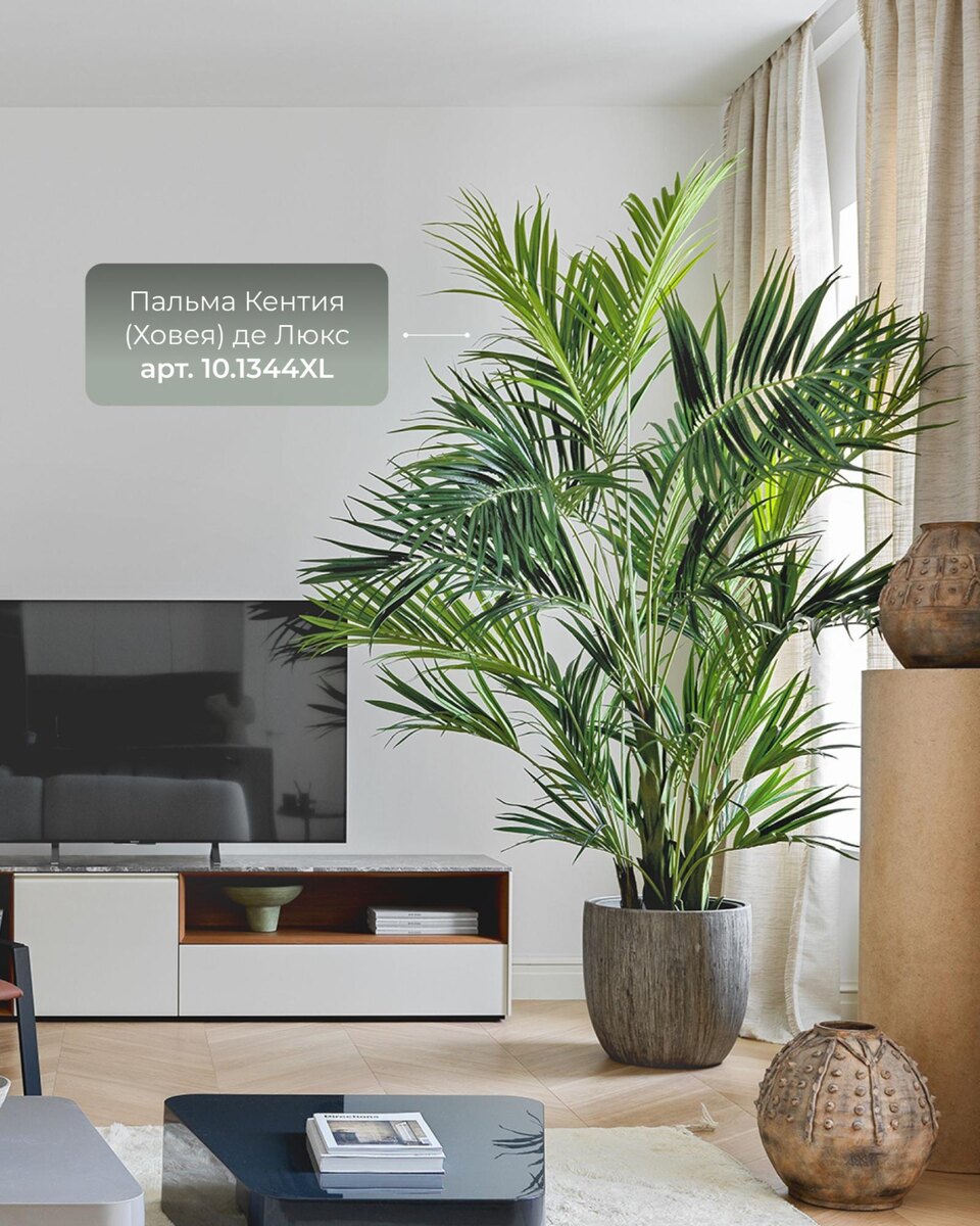 Кашпо и растения TREEZ Collection