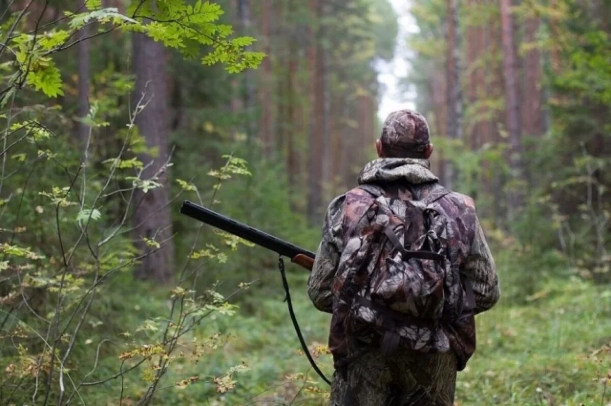    В Тверской области будут тщательнее оценивать трофеи охотников
