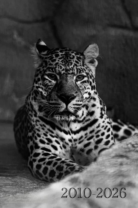 Фото: Челябинский зоопарк