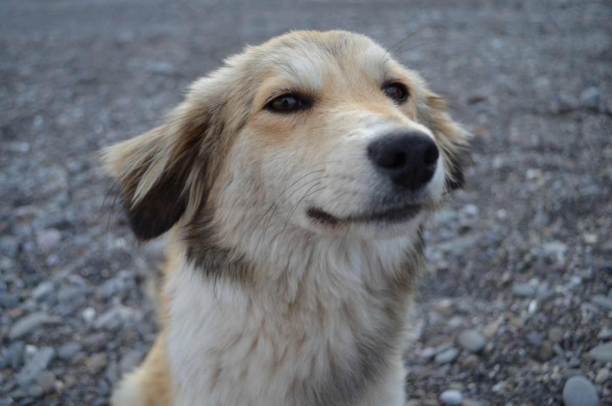 Знакомство