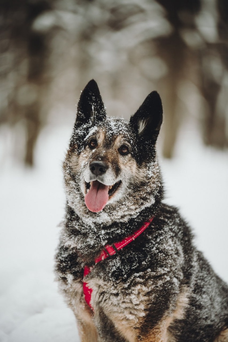 Листайте галерею, тут много красивой Крис