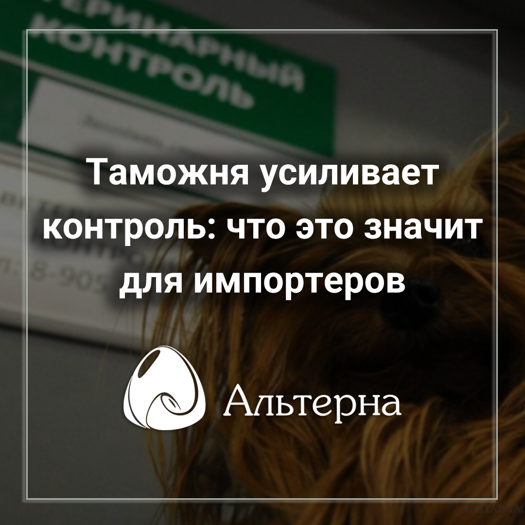 🚨 Таможня усиливает контроль: что это значит для импортеров