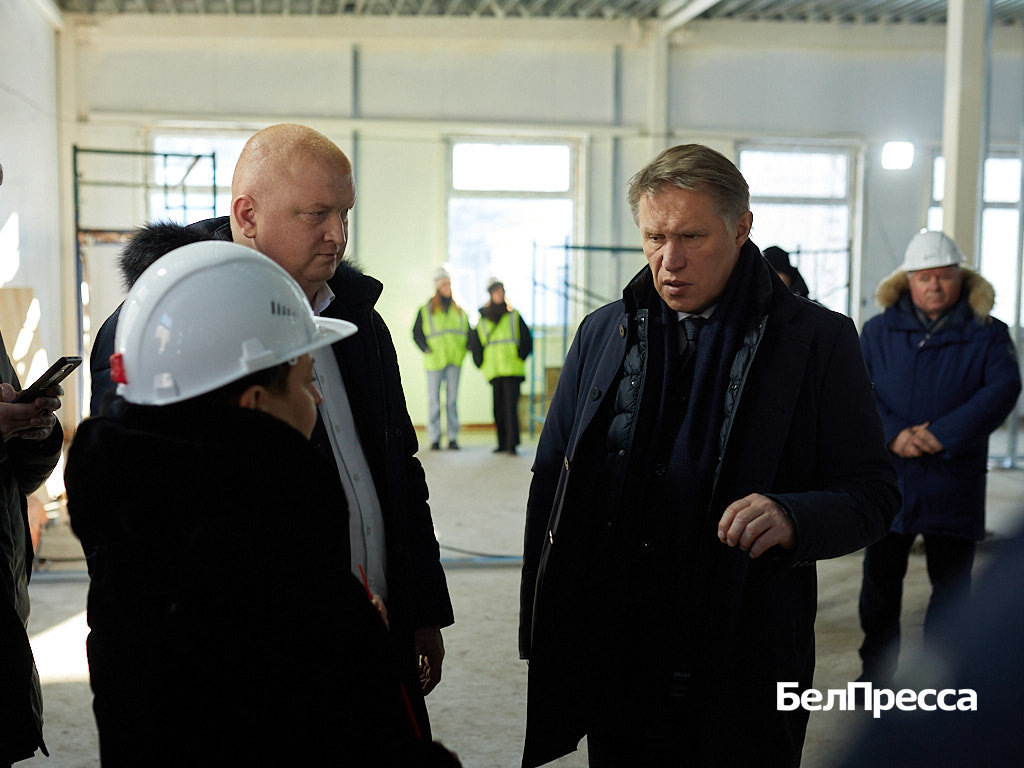     Фото: Елена Журавлёва