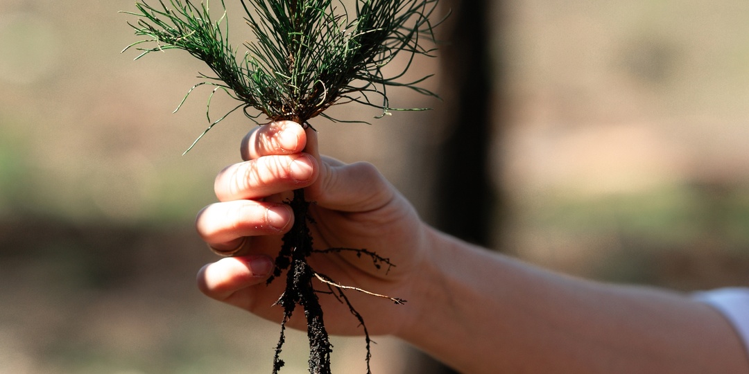 В Запорожской области появился новый национальный парк «Великий Луг»