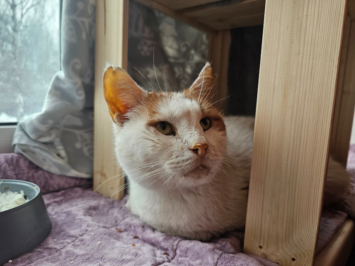 Фото автора. Боинг оооооочень цепляется за свою маленькую жизнь.