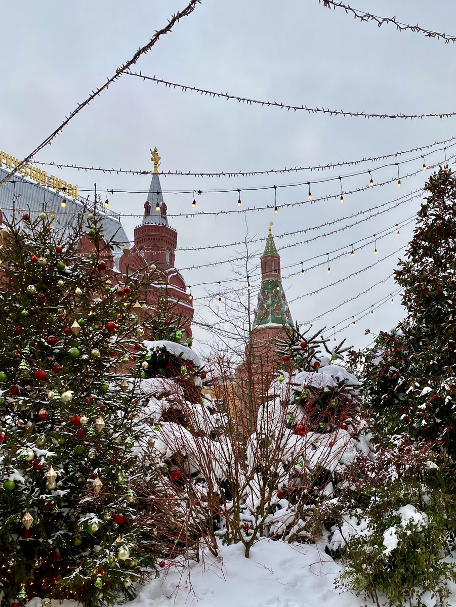 Москва. Январь 2026. Фото автора.