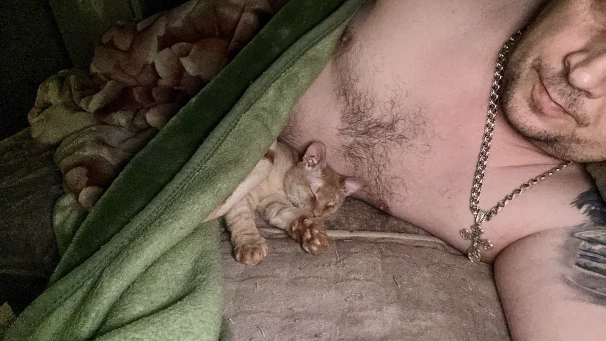 Ласковый не по-кошачьи: спит рядом со мной.