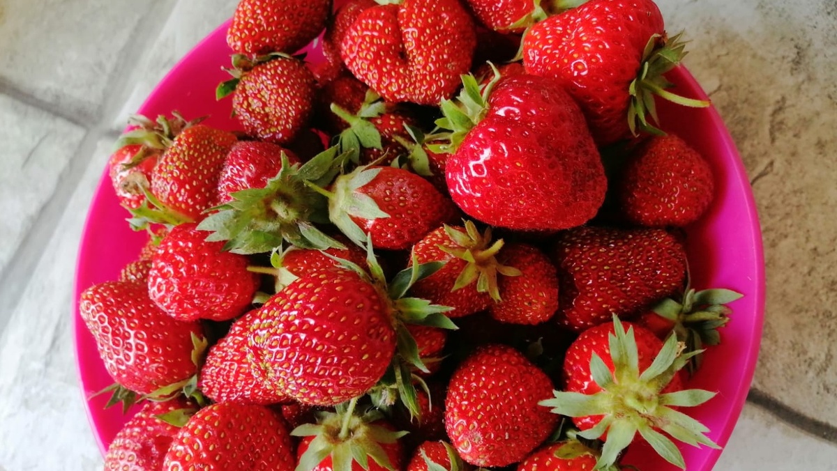 Урожай после августовской пересадки