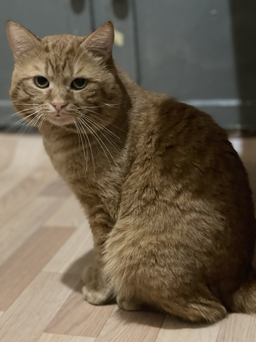 Я верю, что в этом году кто-то приедет за мной