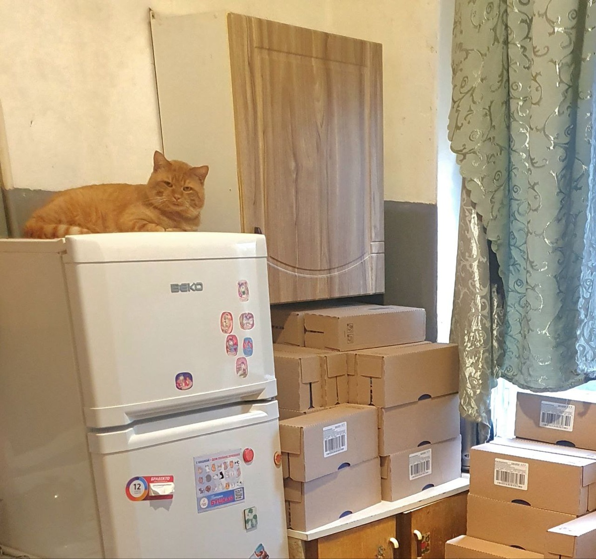 Лучше держаться поближе к кухне