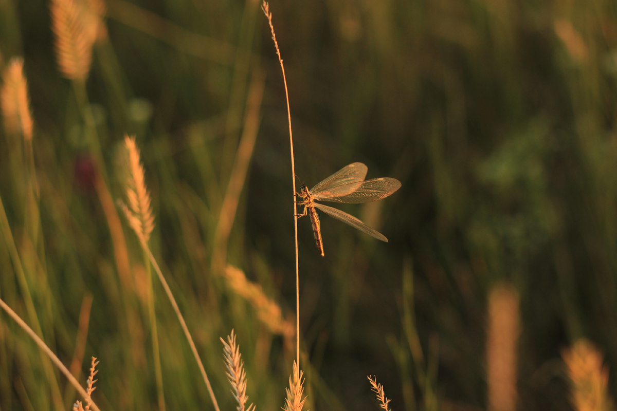 Фото автора. 2023 г.