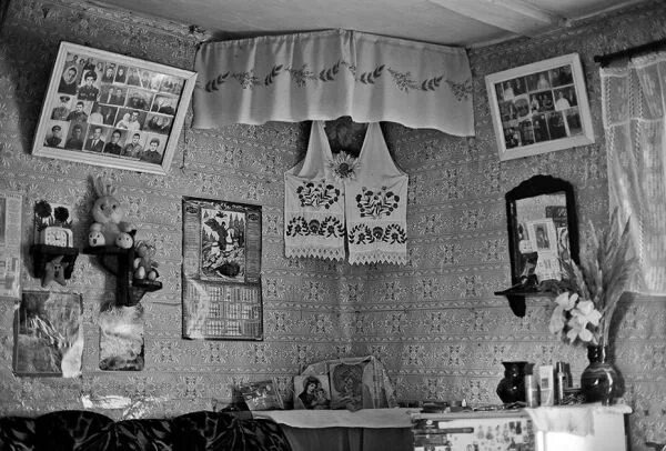 Взято из открытых источников интернета Яндекс.