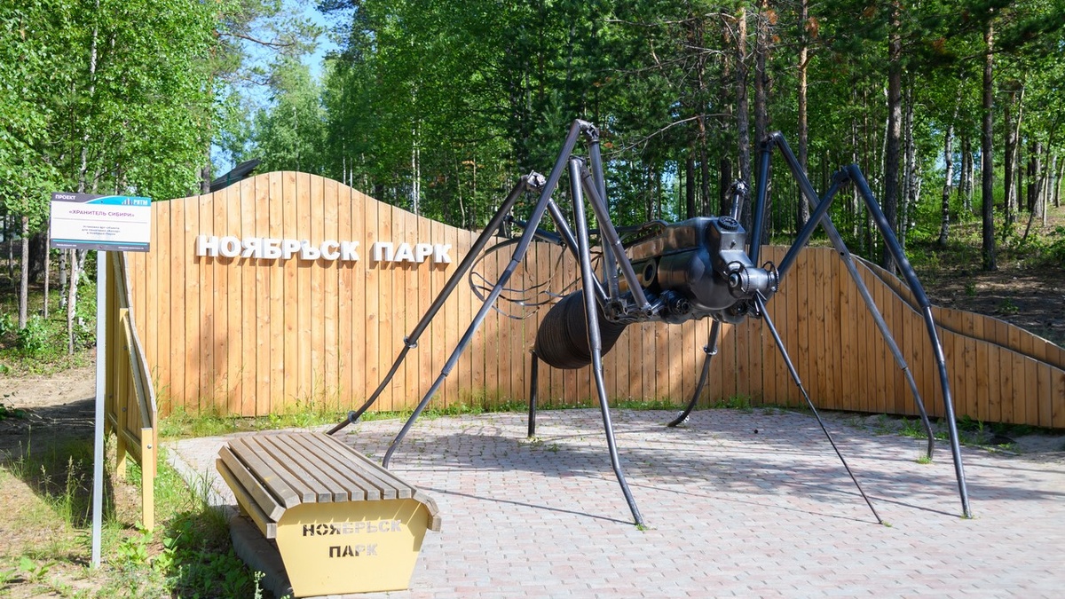 Фото Дмитрия Агатия