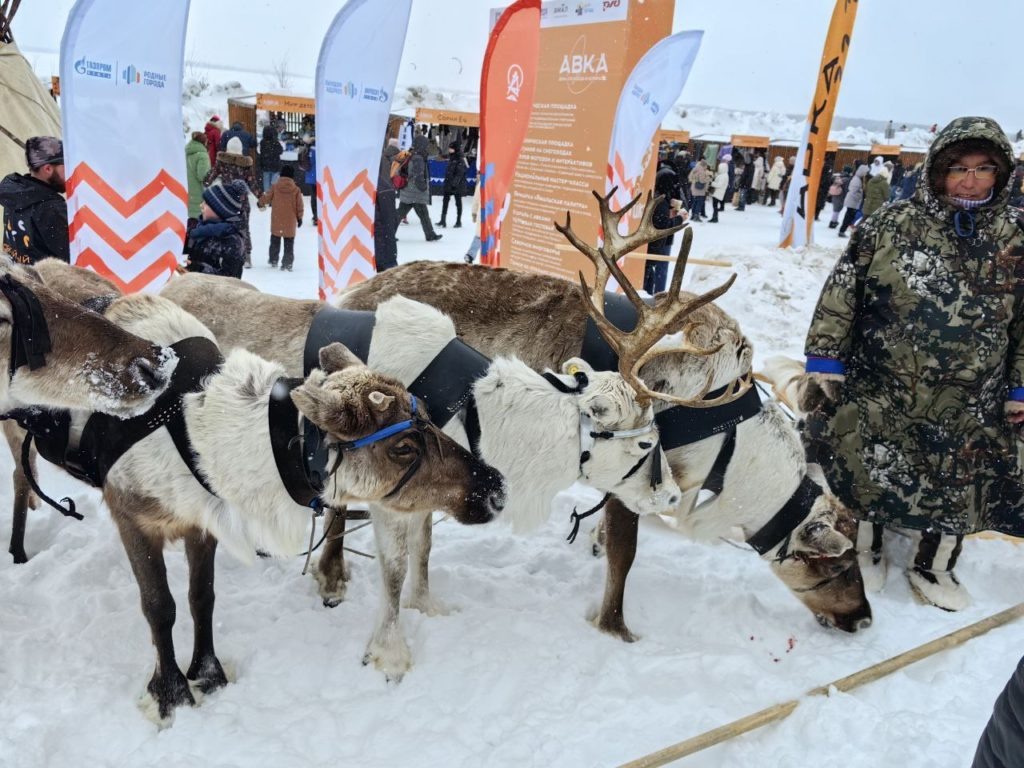 Фото Елены Пановой