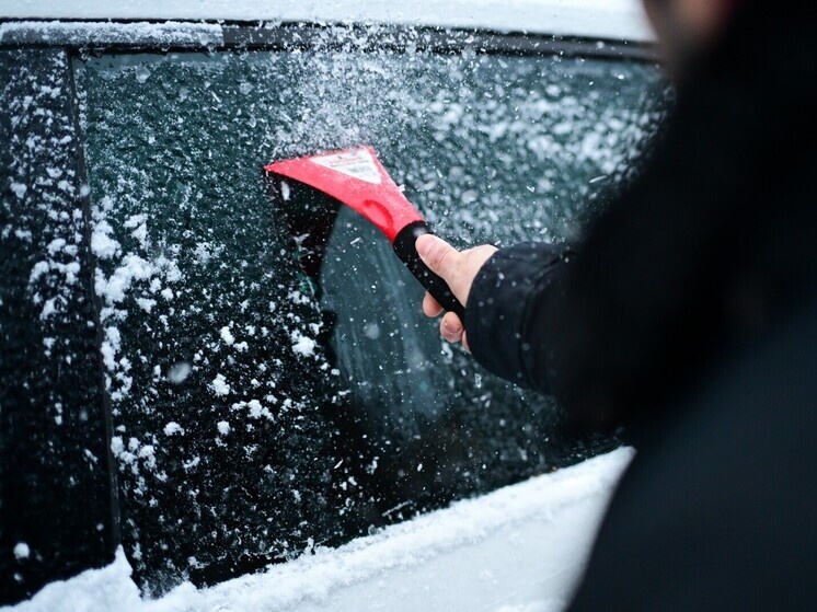     фото: Sebastian Gollnow/dpa/Global Look Press