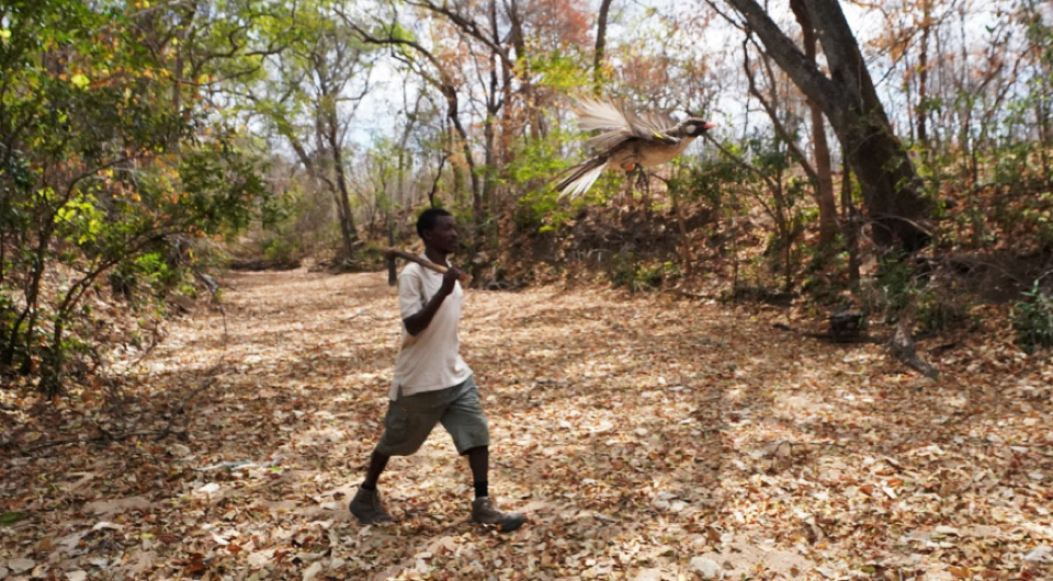   David Lloyd-Jones and Dominic Cram