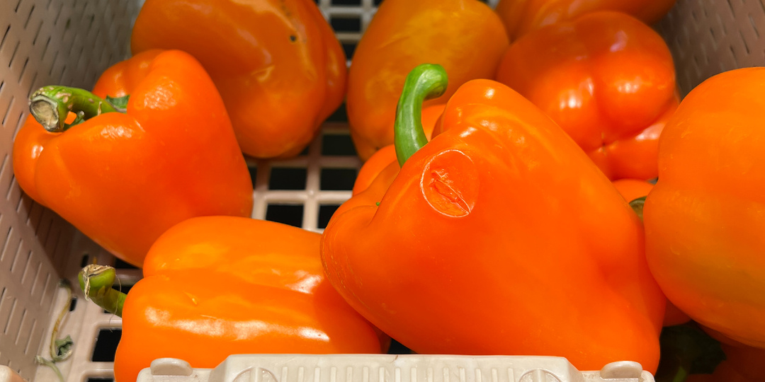 Овощи при диабете: какие защищают поджелудочную, а с какими стоит быть осторожнее