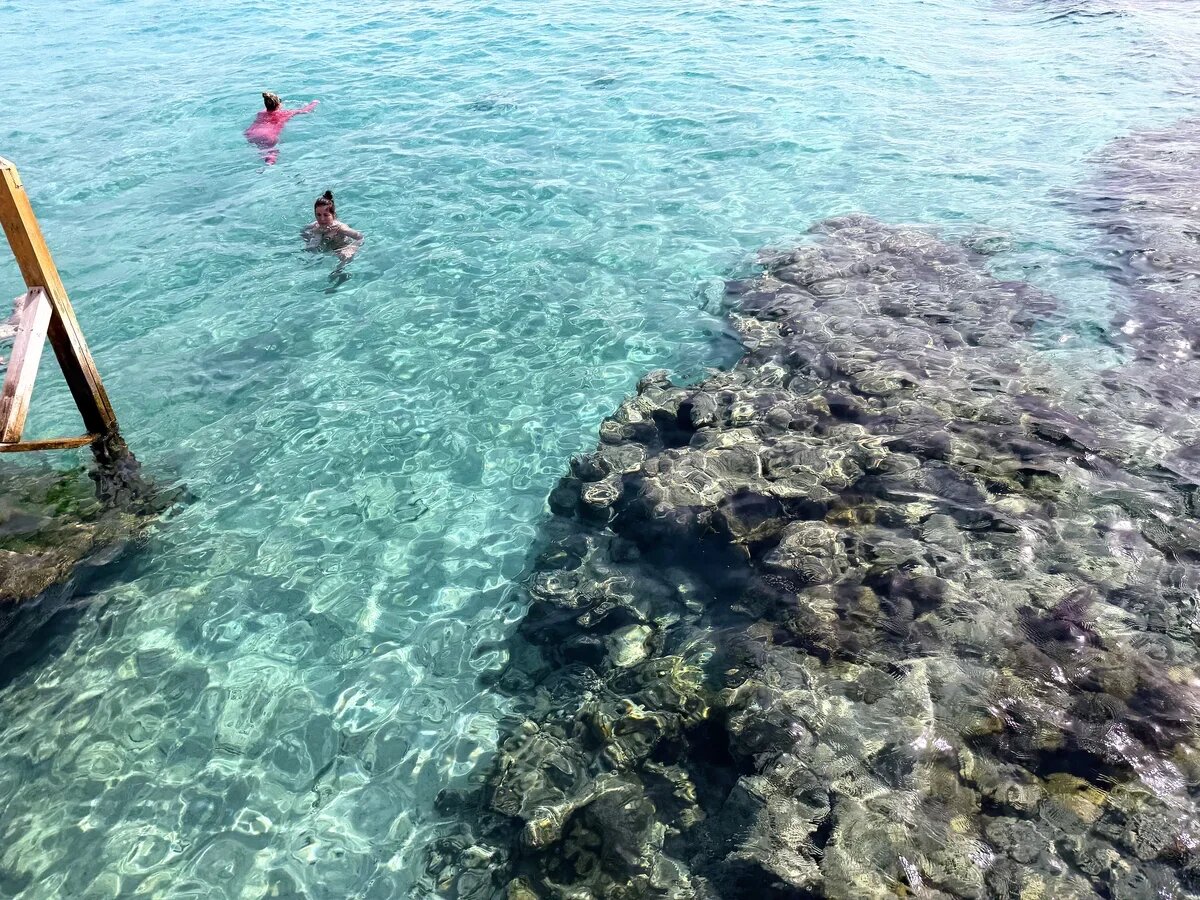    В январе температура воды в Красном море примерно равна 23 градусам. Фото: АТОР