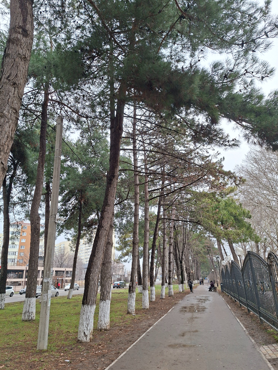 Вроде бы и зелень есть, а всё равно... не весело