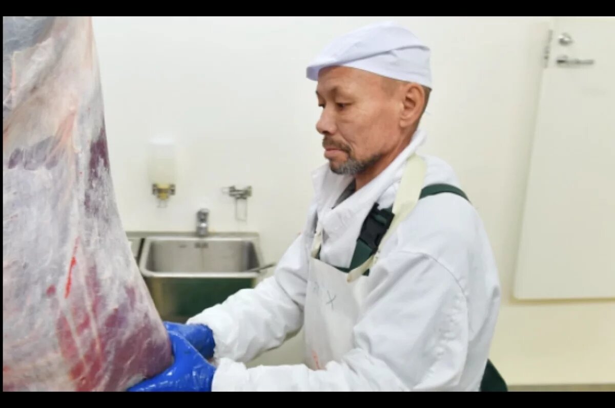    В Приуральском районе стартовала заготовка оленины