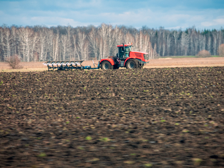     ФОТО: Svetlana Vozmilova / Global Look Press