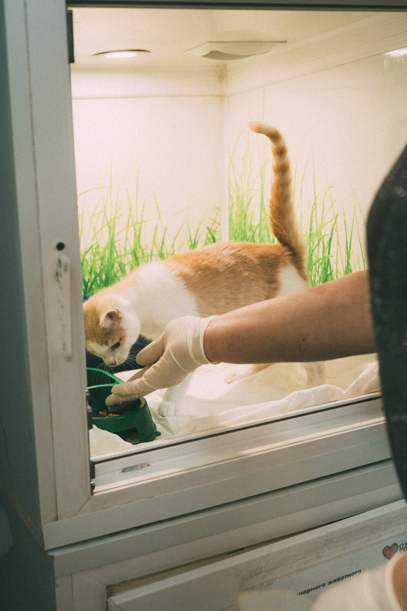 В частном хосписе все заледениели и живут впроголодь! 