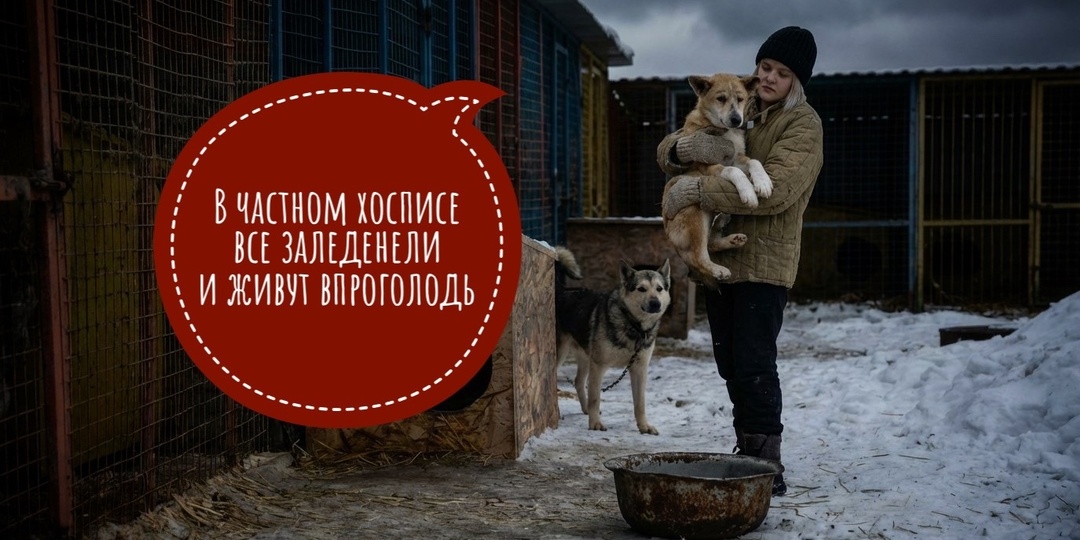 В частном хосписе все заледениели и живут впроголодь!