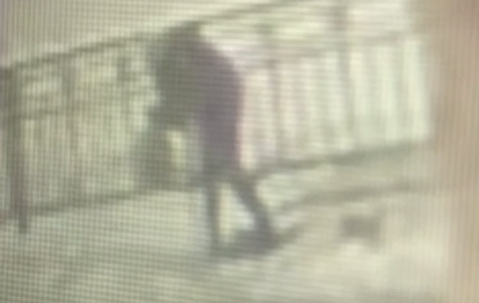     Фото: управление МВД