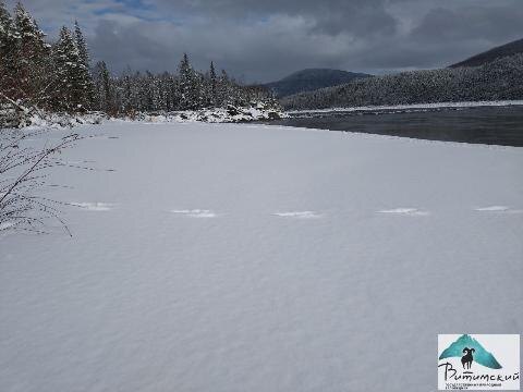 Фото Л. Чечеткиной