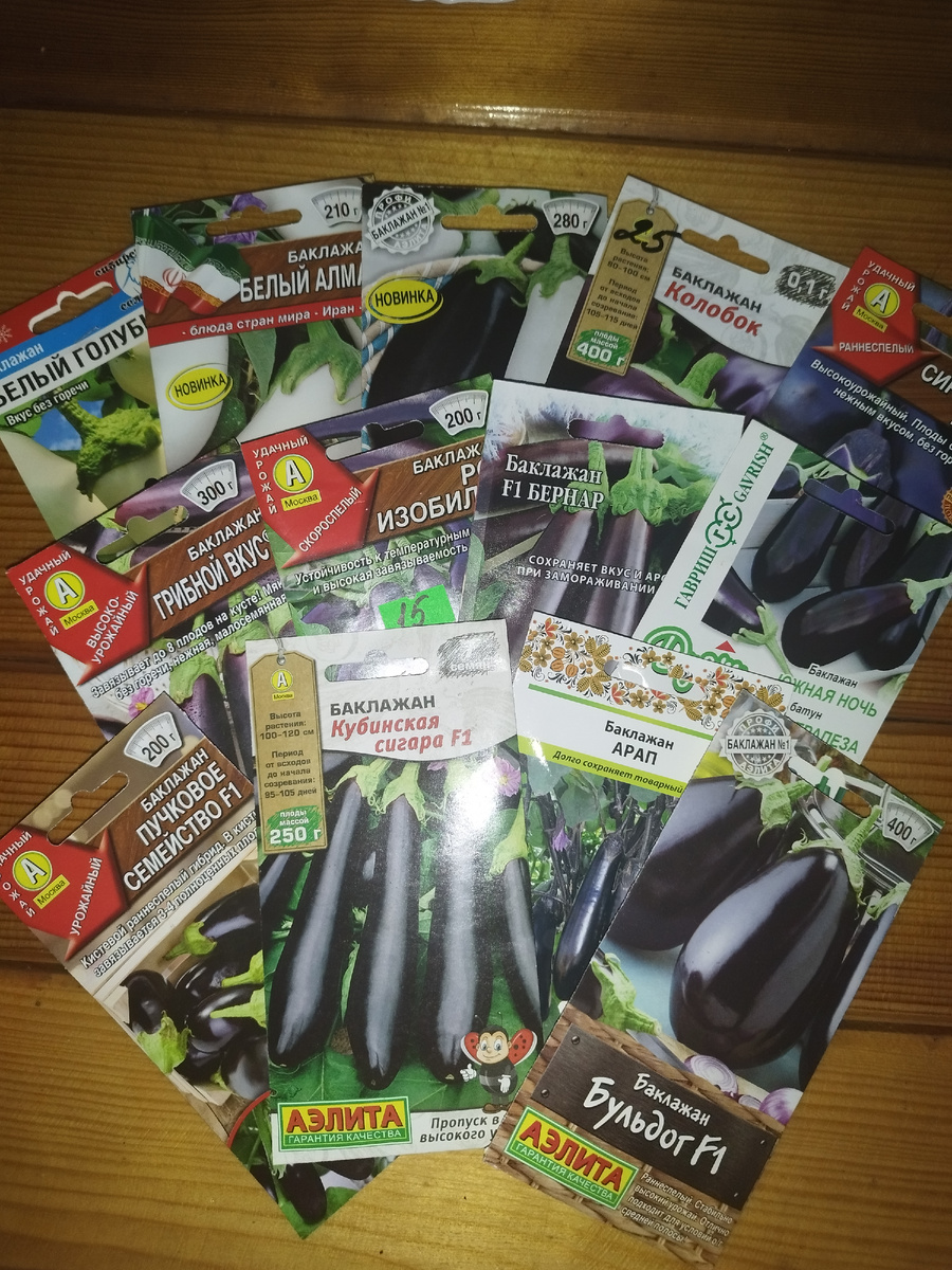 14 сортов баклажанов. 